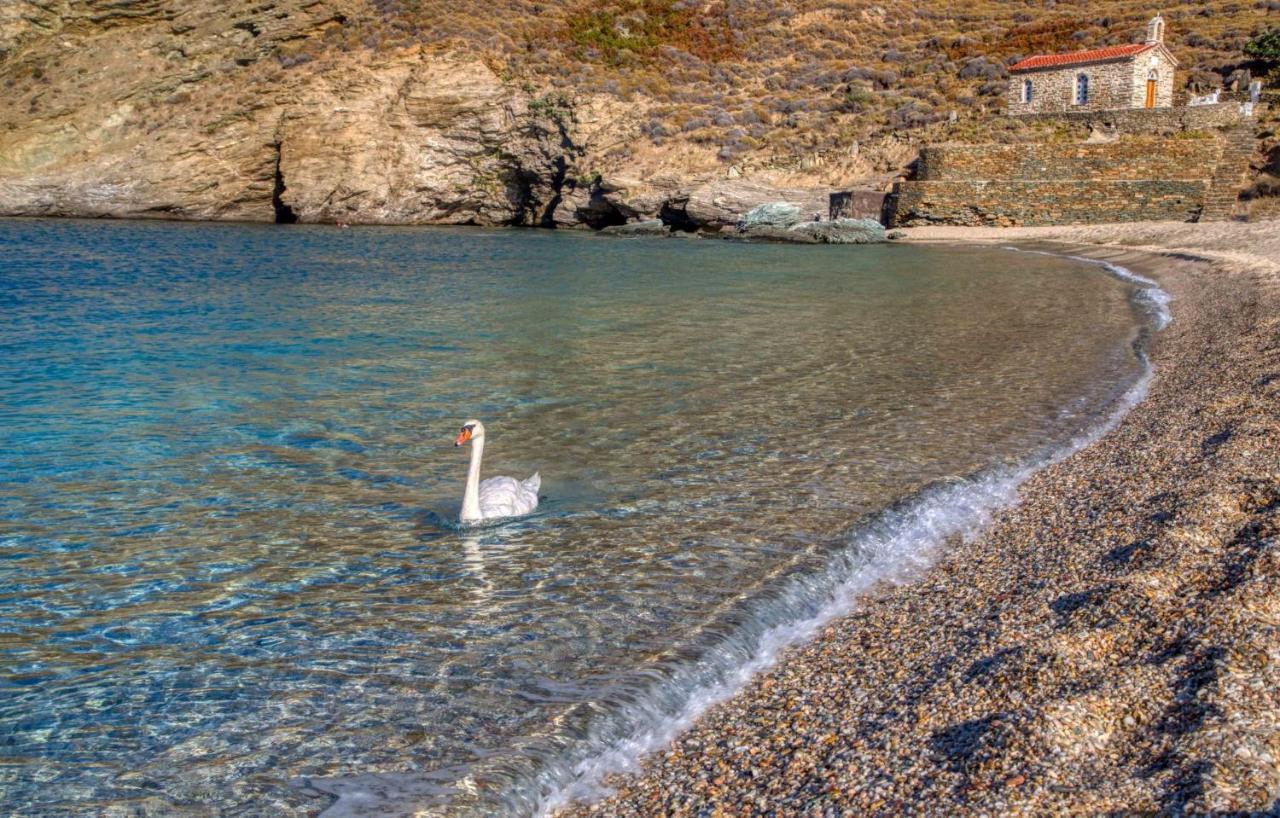 Andros Guesthouses Kültér fotó